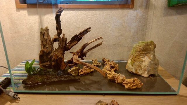 DSC_0306.jpg