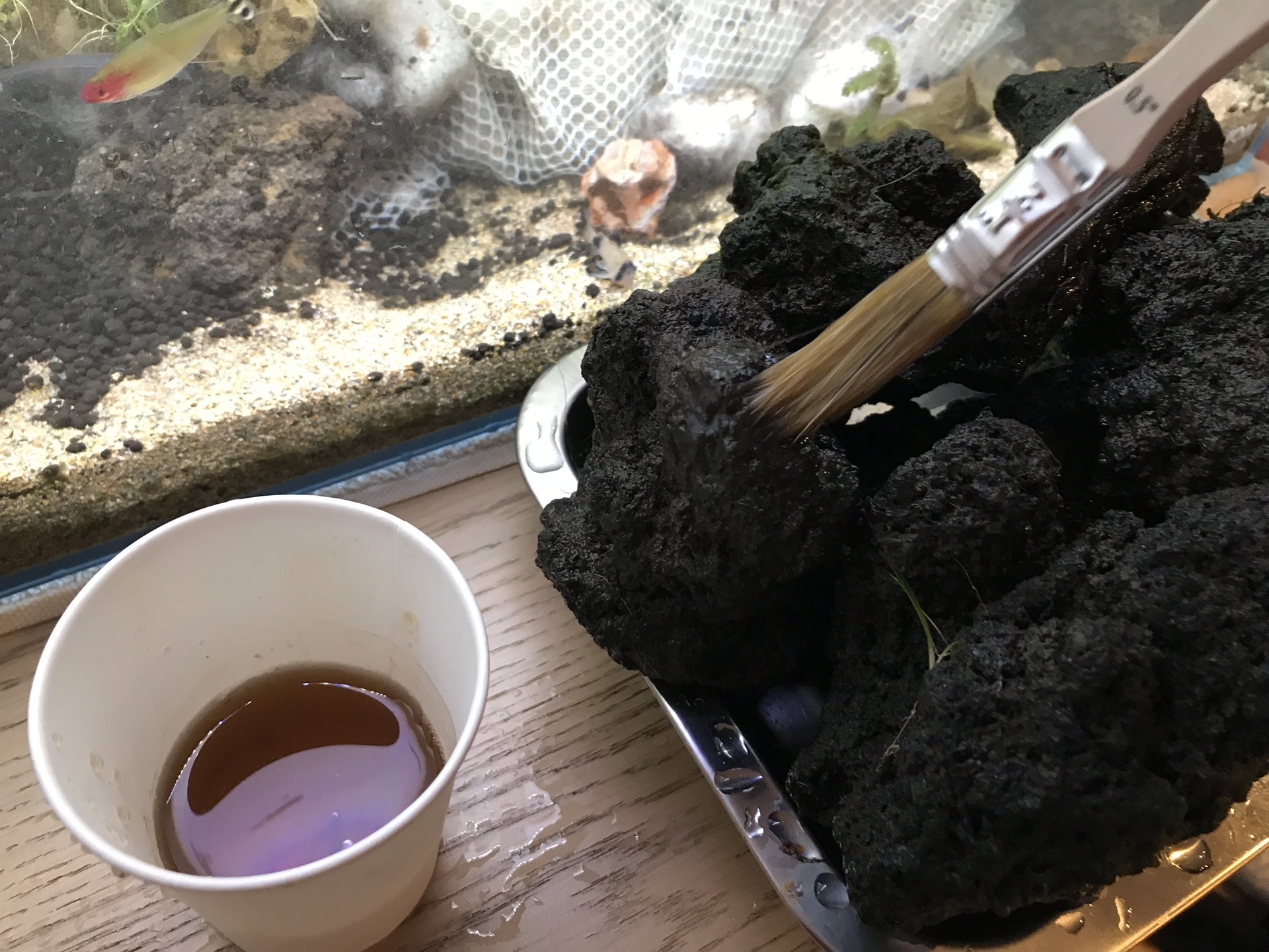 黒ヒゲ苔対策 木酢液を使ってみました 松崎水槽日記