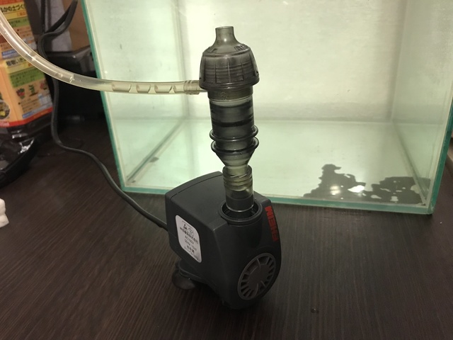 IMG_3132.jpeg