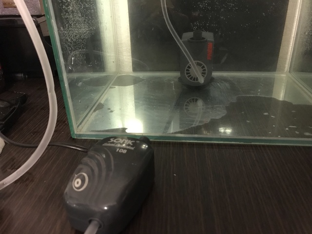 IMG_3152.jpeg