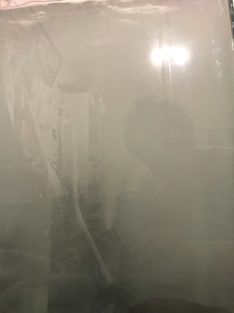 IMG_3153.jpeg