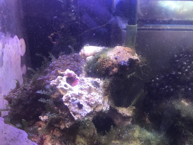 IMG_3727.jpeg