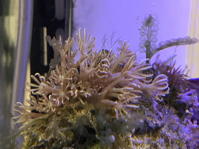 IMG_3861.jpeg