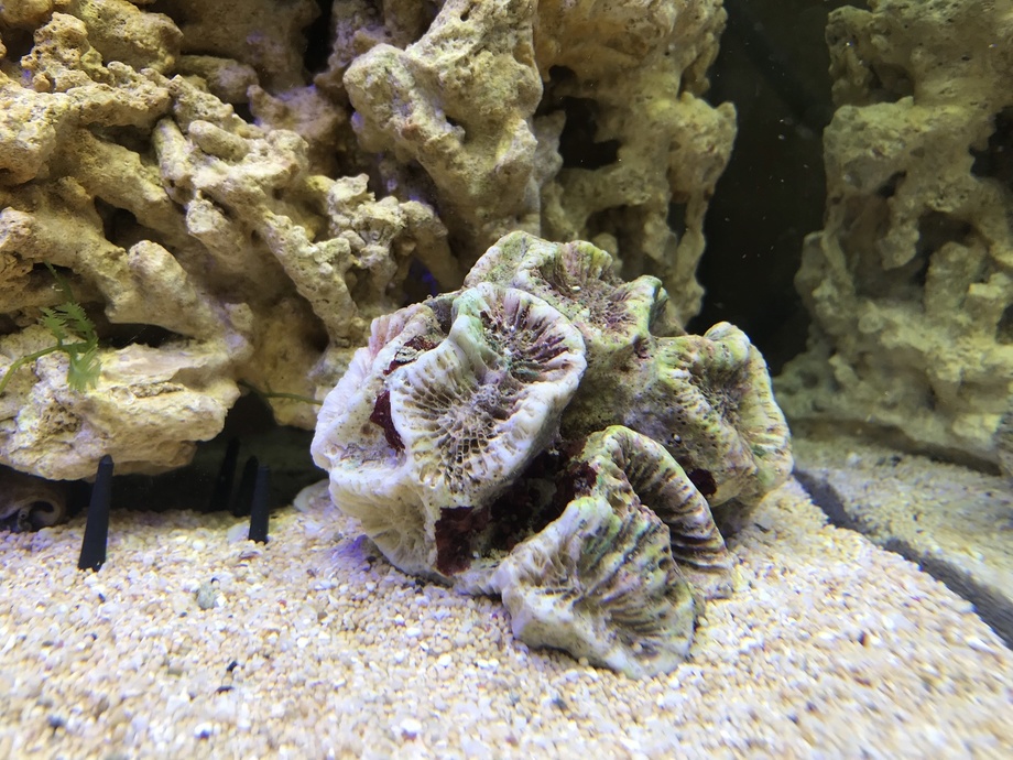 IMG_4049.jpeg