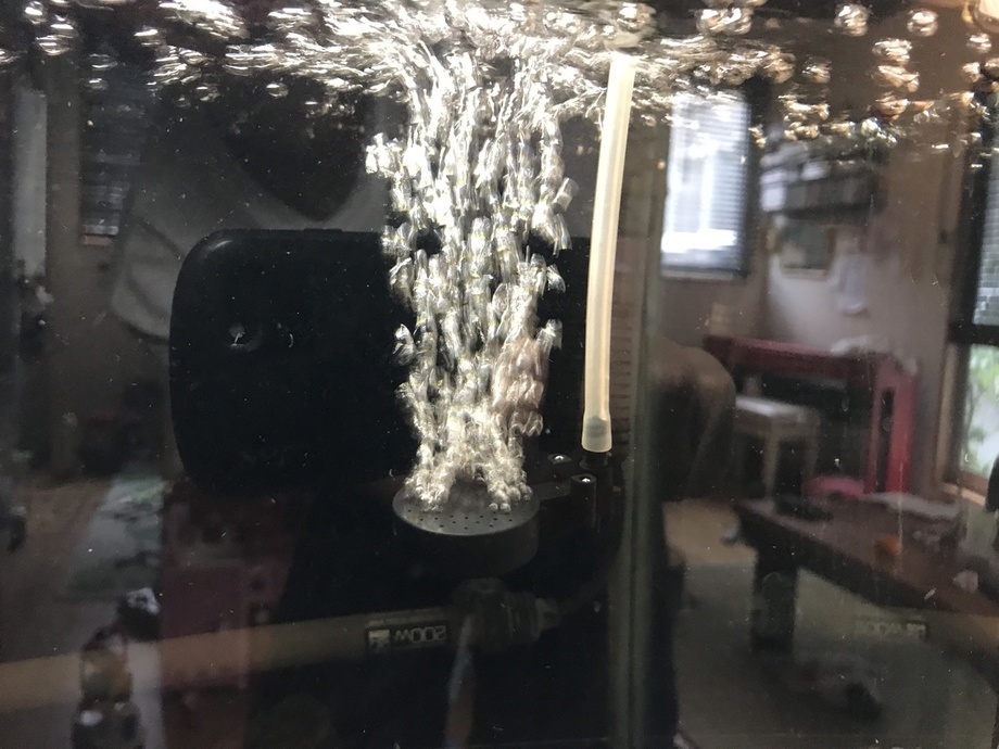 IMG_7787.JPEG