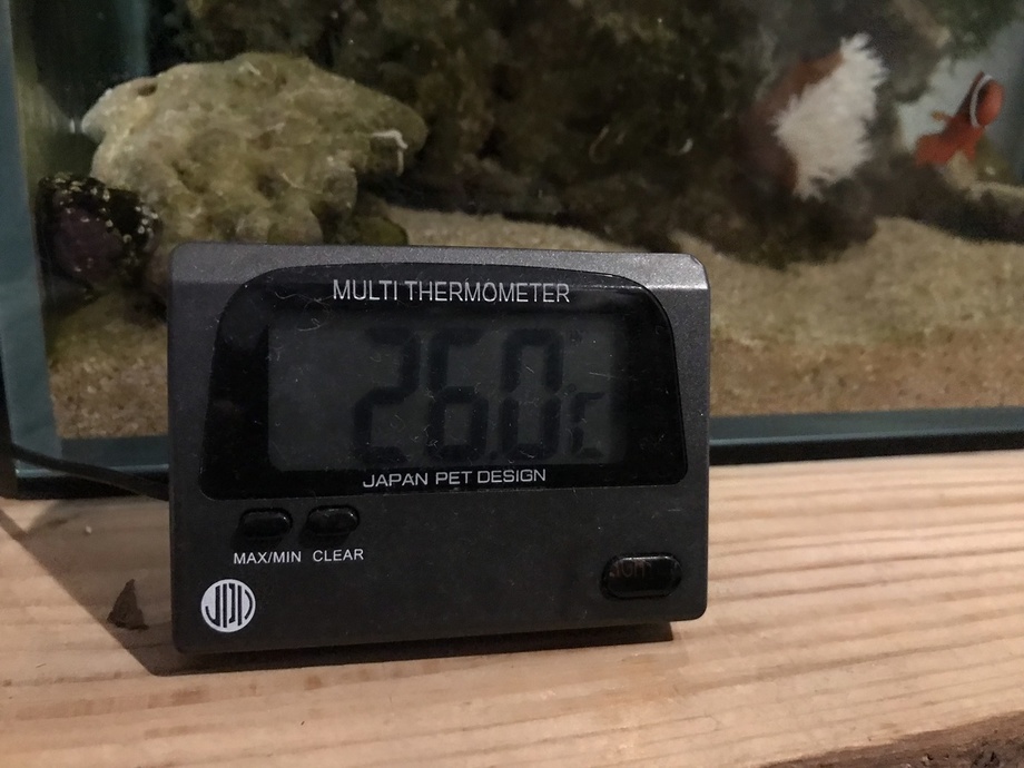 IMG_8841.JPEG