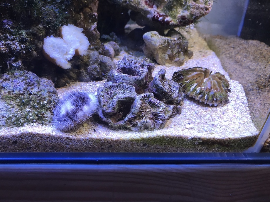 IMG_9052.JPEG