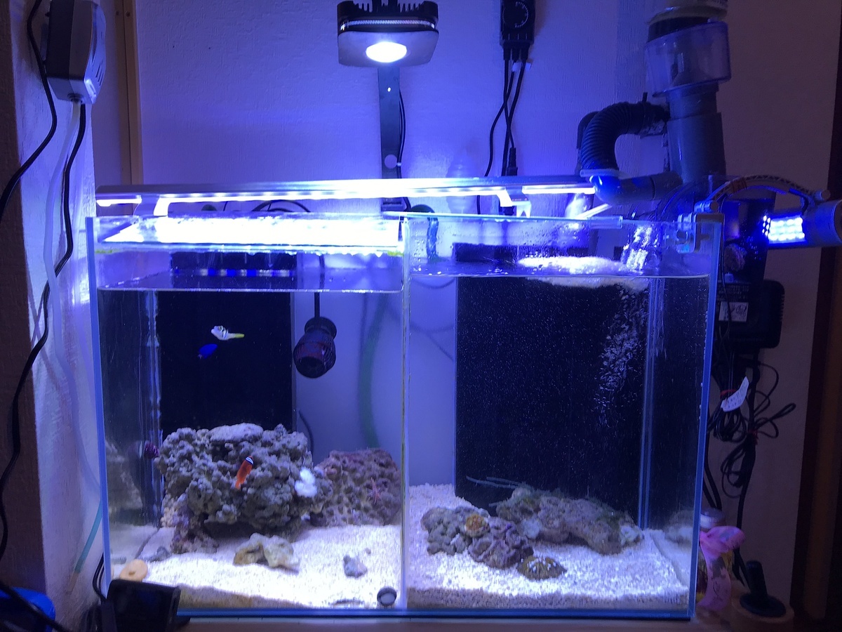 正規通販 新品 オプティマス リーフナノ2 サンゴ 海水魚 LED 魚用品