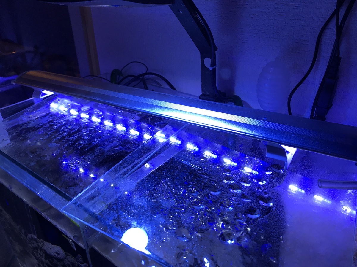 おまけ付】 ゼンスイ LED PLUS 60cm シャイニングブルー - ライト、照明器具 - www.koblenz.lv